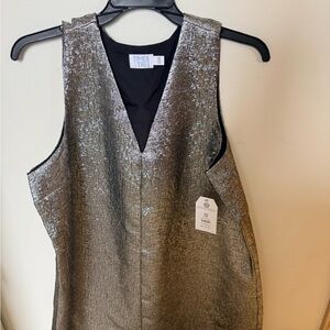 Time and Tru Metallic Sleeveless Dress